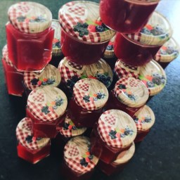 Tierlibaum is on the road